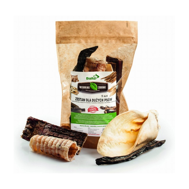 Balto Zestaw dla dużych psów Premium