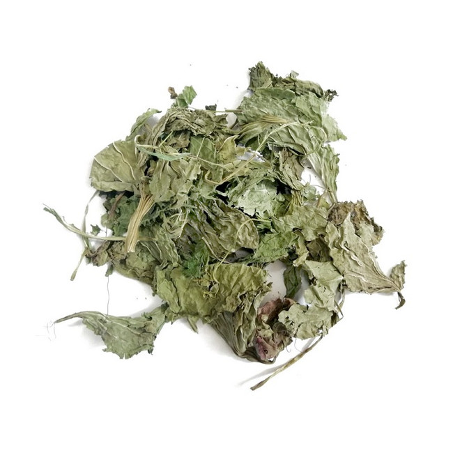 Wio-Mar Babka szerokolistna 100g