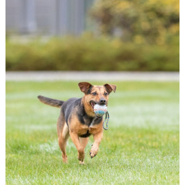 Trixie Piłka gumowa na sznurku 6/30cm [3454]