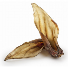 Balto Ucho jelenia 1szt