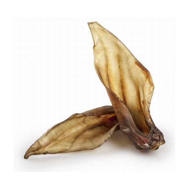 Balto Ucho jelenia 1szt