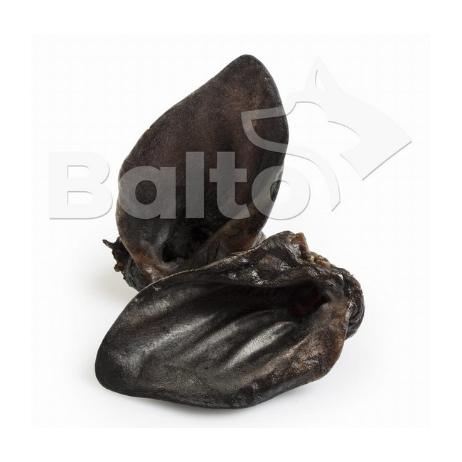 Balto Ucho dzika 1szt