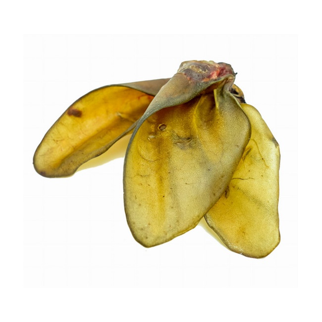 Balto Ucho wołowe 1szt.