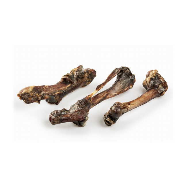 Balto Kość dzika 1szt