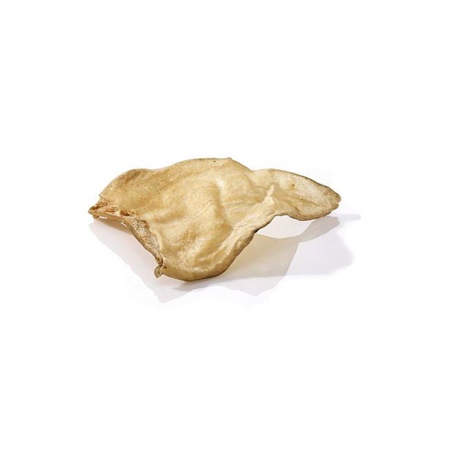 Maced Ucho wołowe 1szt folia