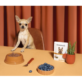 Amanova Dog Adult Exquisite Chicken - kurczak saszetka 100g [P03]