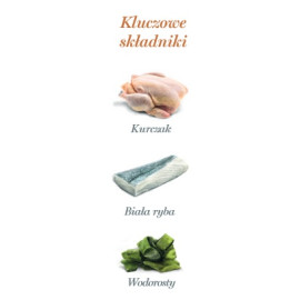 Amanova Cat Kitten Chicken & Fish - kurczak i biała ryba saszetka 85g [P09]