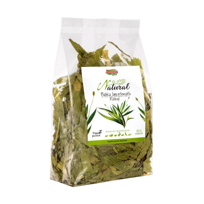 Alegia Babka lancetowata 100g