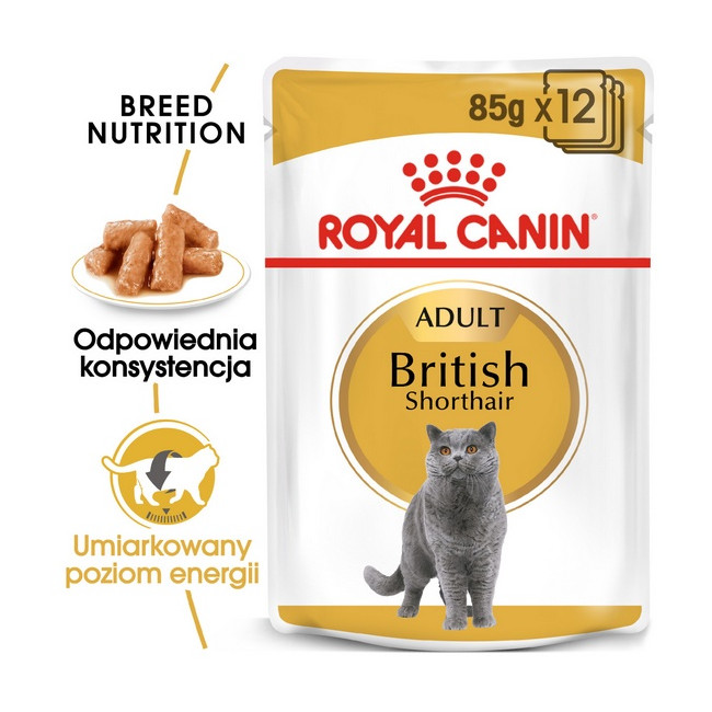 Royal Canin British Shorthair karma mokra w sosie dla kotów dorosłych rasy brytyjski krótkowłosy saszetka 85g