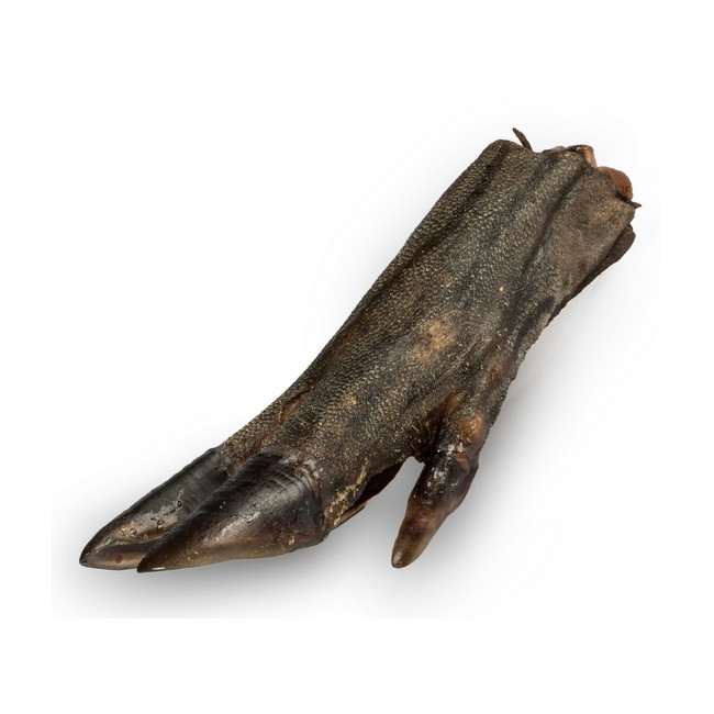 Balto Racica dzika 1szt