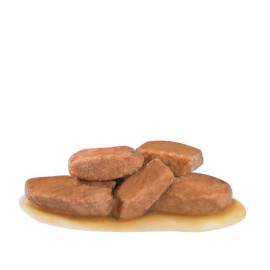 Royal Canin Veterinary Diet Canine Early Renal w sosie saszetka 100g