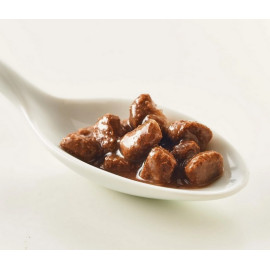 Kattovit Feline Diet Niere/Renal kaczka saszetka 85g