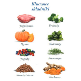 Amanova Dog Adult Delicious Lamb - jagnięcina saszetka 100g [P15]