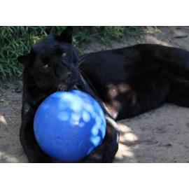 Boomer Ball L - 8" / 20cm niebieska