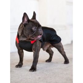 Chaba Ubranko regulowane Wear Magnifique 4XL czerwone