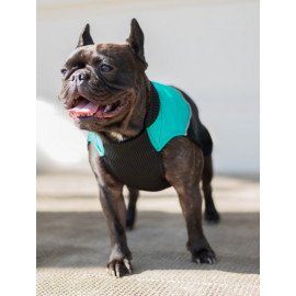 Chaba Ubranko regulowane Wear Magnifique L zielone