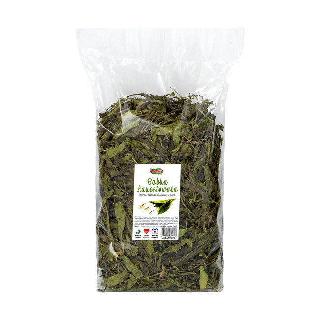 Alegia Babka lancetowata 300g