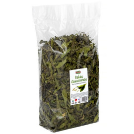 Alegia Babka lancetowata 300g