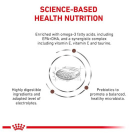 Royal Canin Veterinary Diet Canine Gastrointestinal Low Fat Small 3,5kg