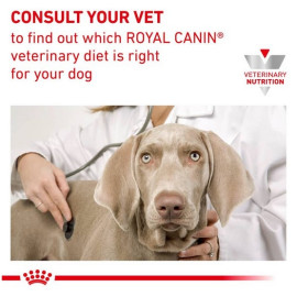 Royal Canin Veterinary Diet Canine Gastrointestinal Low Fat Small 3,5kg