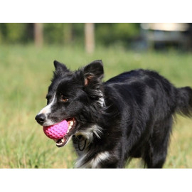 Kiwi Walker Let's Play Ball Mini piłka różowa