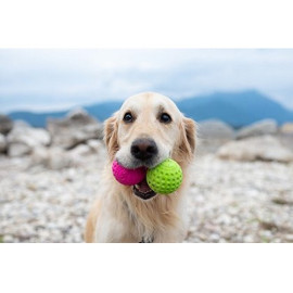 Kiwi Walker Let's Play Ball Mini piłka różowa