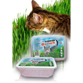 Super Benek Trawka szybkorosnąca dla kota 150g