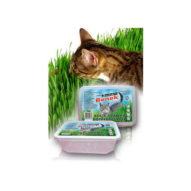 Super Benek Trawka szybkorosnąca dla kota 150g