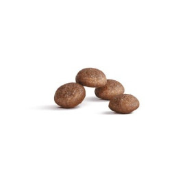 Royal Canin Ageing +11 Sterilised karma sucha dla kotów dojrzałych, sterylizowanych 400g