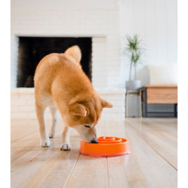 Outward Hound Fun Feeder Mini Miska spowalniająca pomarańczowa [51004]