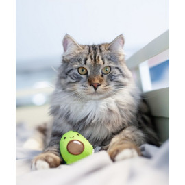 Petstages Lil' Avocato dla kota [PS67840]