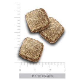 Amanova Dog Adult Mobility Fish Delicacy - biała ryba 10kg