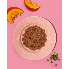 Amanova Dog Adult Tasty Salmon & Turkey - łosoś i indyk saszetka 100g [P06]