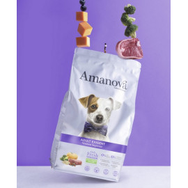 Amanova Dog Adult Exigent Venison - dziczyzna 10kg