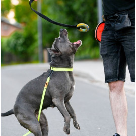 Dingo Zabawka dla psa - Szarpak Ringo z rączką bungee 10cm