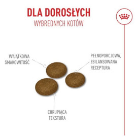 Royal Canin Fussy Exigent karma sucha dla kotów dorosłych, wybrednych 2kg