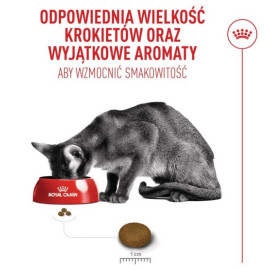 Royal Canin Fussy Exigent karma sucha dla kotów dorosłych, wybrednych 2kg