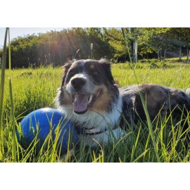 Boomer Ball M - 6" / 15cm niebieska