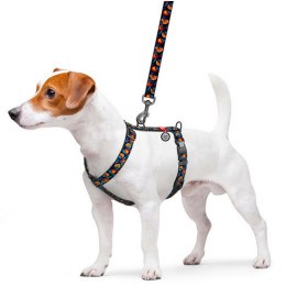 Collar WauDog Nylon Szelki nylonowe anatomiczne w kształcie litery H, z QR-paszportem, plastikowy fastex, wzór POMARAŃCZE, rozmi