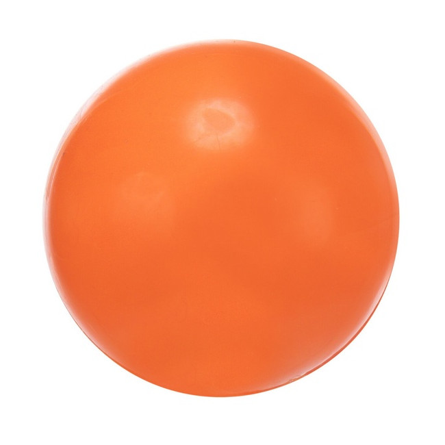 Trixie Piłka gumowa 6cm twarda [3301]