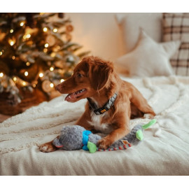 Dingo Zabawka dla psa pluszowa - Miś Yoko 36cm