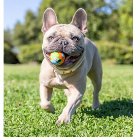 Chuckit! Eco Fetch Ball Small 2pak [37163]