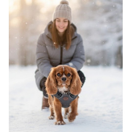 Zolux Kurtka puchowa z szelkami dla psa R.45 szara