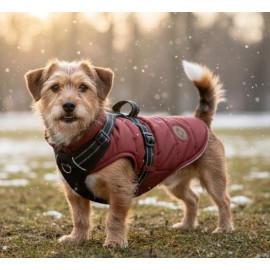 Zolux Kurtka puchowa z szelkami dla psa R.35 ceglasta