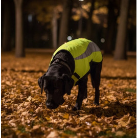 Zolux Kamizelka odblaskowa R.50 żółta