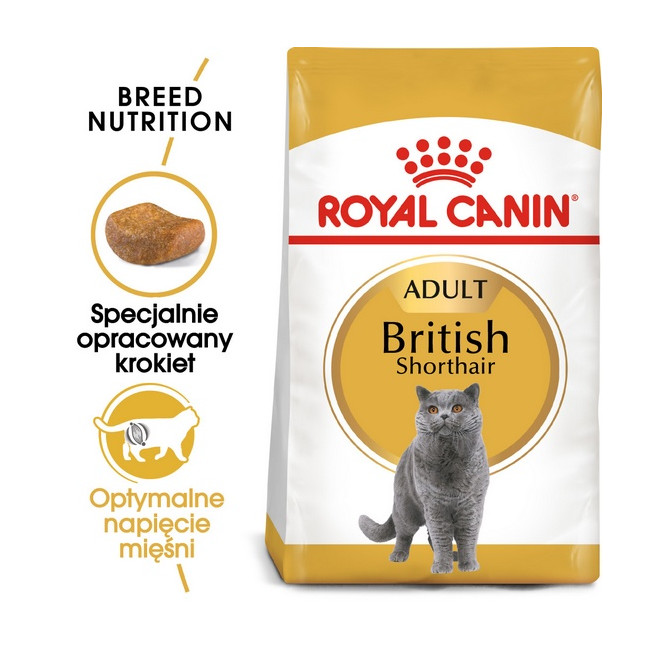 Royal Canin British Shorthair Adult karma sucha dla kotów dorosłych rasy brytyjski krótkowłosy 400g