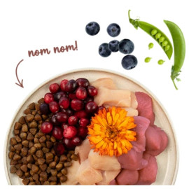 Sanabelle Indoor 400g