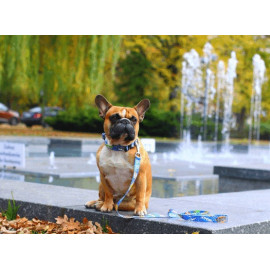 Matteo Smycz Prosta 30mm graffiti niebieskie