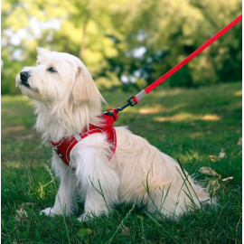 Zolux Szelki oddychające z siatki XL czerwone