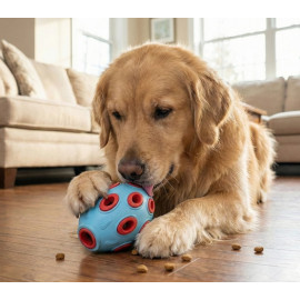 Zolux Zabawka na przysmaki do aportowania jajko 12cm